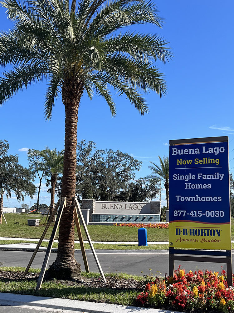 A large palm tree and temporary "new homes for sale sign" by DR Horton display. In between, a larger, permanent Buena Lago sign is seen at the entrance of the community.